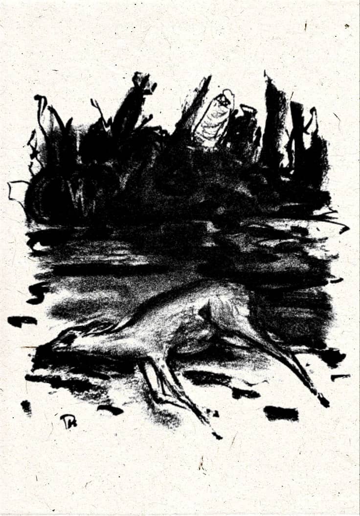 Art Print 14